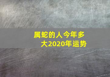 属蛇的人今年多大2020年运势