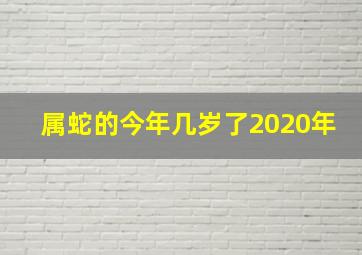 属蛇的今年几岁了2020年