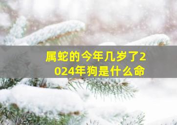 属蛇的今年几岁了2024年狗是什么命