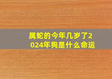 属蛇的今年几岁了2024年狗是什么命运