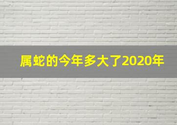 属蛇的今年多大了2020年