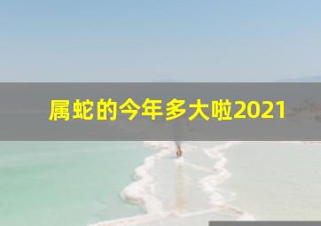 属蛇的今年多大啦2021