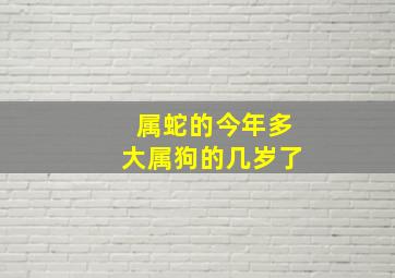 属蛇的今年多大属狗的几岁了