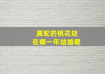 属蛇的桃花劫在哪一年结婚呢