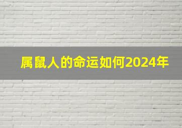 属鼠人的命运如何2024年