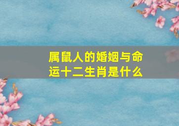 属鼠人的婚姻与命运十二生肖是什么