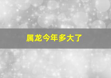 属龙今年多大了