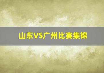 山东VS广州比赛集锦