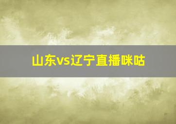 山东vs辽宁直播咪咕