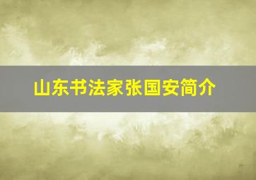 山东书法家张国安简介