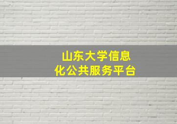 山东大学信息化公共服务平台