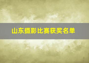 山东摄影比赛获奖名单