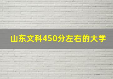 山东文科450分左右的大学