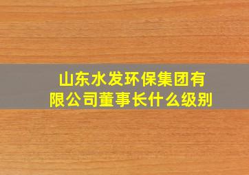 山东水发环保集团有限公司董事长什么级别