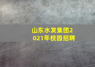 山东水发集团2021年校园招聘