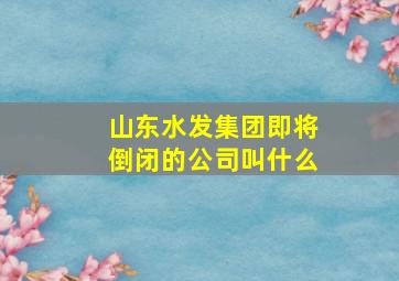 山东水发集团即将倒闭的公司叫什么