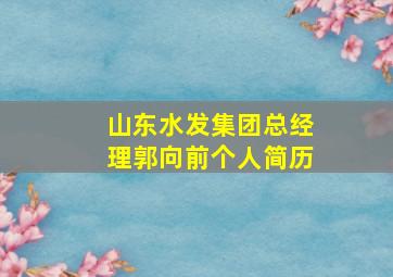 山东水发集团总经理郭向前个人简历