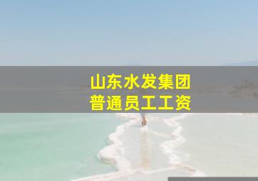 山东水发集团普通员工工资