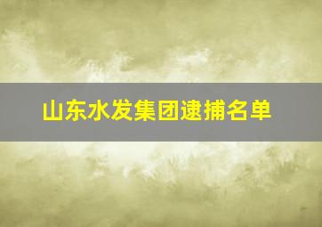 山东水发集团逮捕名单