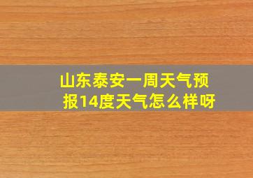 山东泰安一周天气预报14度天气怎么样呀