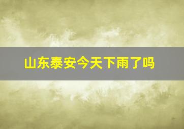 山东泰安今天下雨了吗