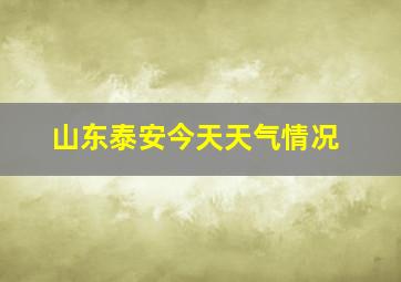 山东泰安今天天气情况