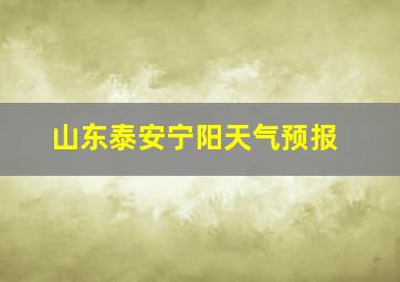 山东泰安宁阳天气预报