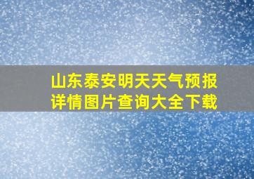 山东泰安明天天气预报详情图片查询大全下载