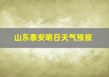 山东泰安明日天气预报