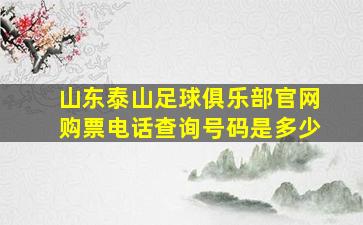 山东泰山足球俱乐部官网购票电话查询号码是多少