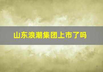 山东浪潮集团上市了吗