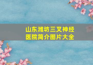 山东潍坊三叉神经医院简介图片大全