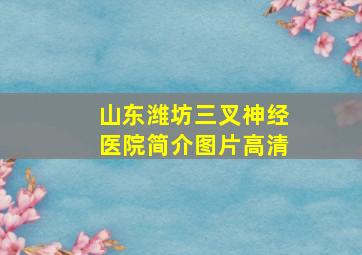 山东潍坊三叉神经医院简介图片高清