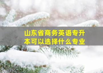 山东省商务英语专升本可以选择什么专业