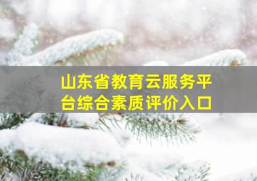 山东省教育云服务平台综合素质评价入口