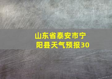 山东省泰安市宁阳县天气预报30