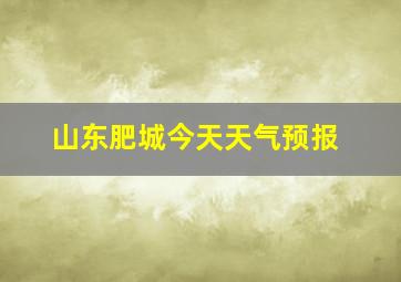 山东肥城今天天气预报