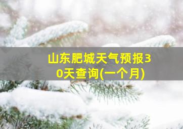 山东肥城天气预报30天查询(一个月)