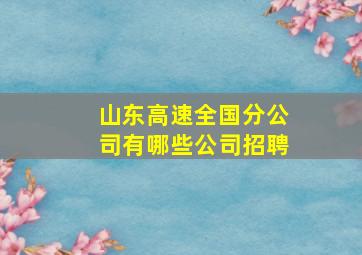 山东高速全国分公司有哪些公司招聘