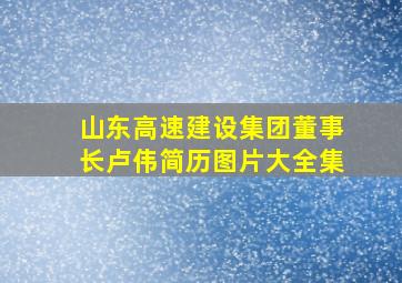 山东高速建设集团董事长卢伟简历图片大全集