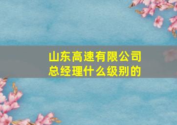 山东高速有限公司总经理什么级别的