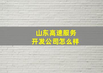 山东高速服务开发公司怎么样