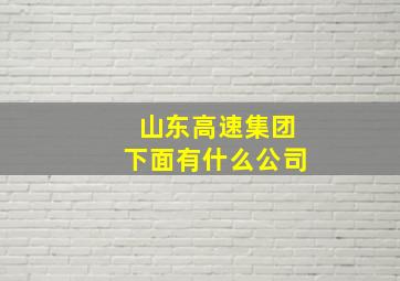 山东高速集团下面有什么公司