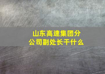 山东高速集团分公司副处长干什么