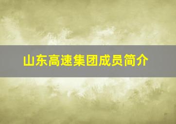 山东高速集团成员简介