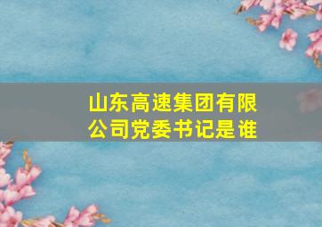 山东高速集团有限公司党委书记是谁