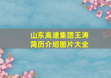 山东高速集团王涛简历介绍图片大全