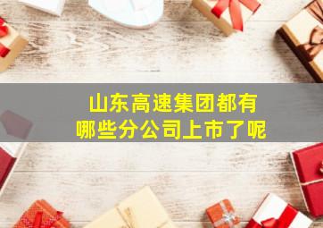 山东高速集团都有哪些分公司上市了呢