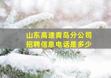 山东高速青岛分公司招聘信息电话是多少