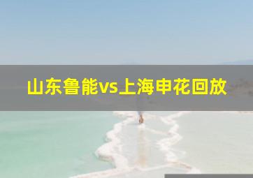 山东鲁能vs上海申花回放